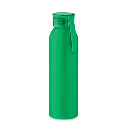 Bottiglia di alluminio 600ml Napier - Green